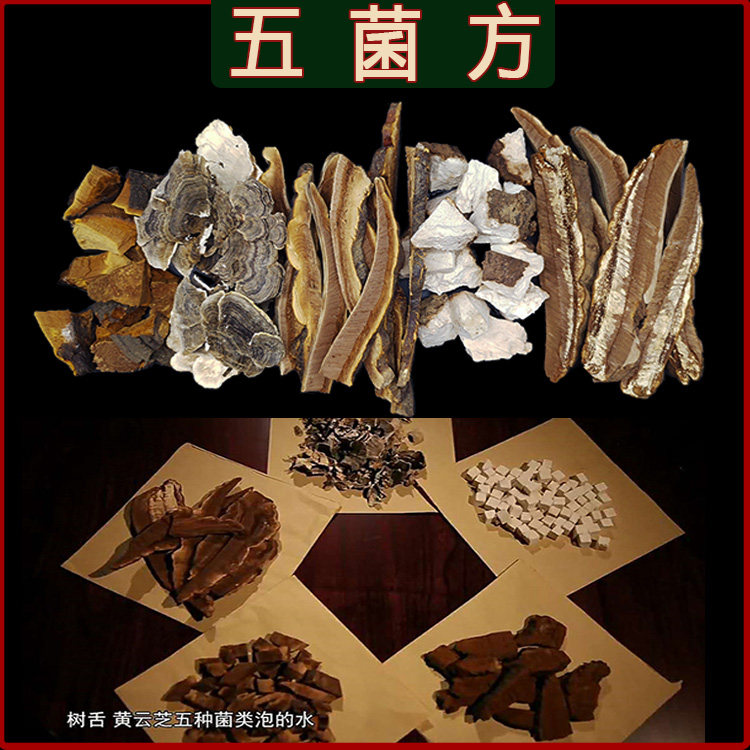 灵芝茶赤芝灵芝新货日常保健树舌