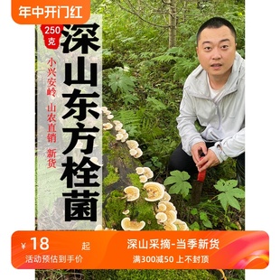 东方栓菌250g东方云芝东北伊春整枝灵芝真菌汤切块