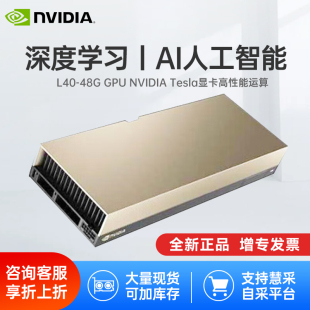 NVIDIATesla 显卡英伟达48GB深度学习AI训练推理运算加速GPU L40