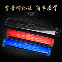 Novice nhạc cụ piano 24 phím dành cho người lớn dạy trẻ em học sinh mới bắt đầu 24 giai điệu piano nhấn giọng - Nhạc cụ phương Tây đàn phong cầm