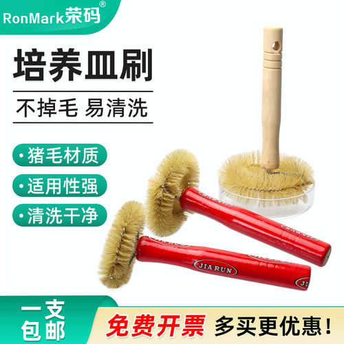 玻璃培养皿刷猪毛易清洗大中小