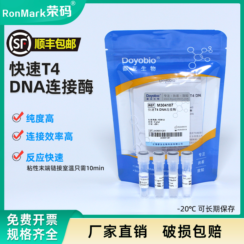 快速T4 DNA连接酶 1000 U / T4 DNA Ligase（Fast）