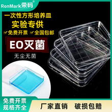 塑料一次性 方形培养皿 10×10cm13*13cm24*24cm方形培养皿刻度线无菌培养皿实验室细胞细菌细胞培养皿盒带盖