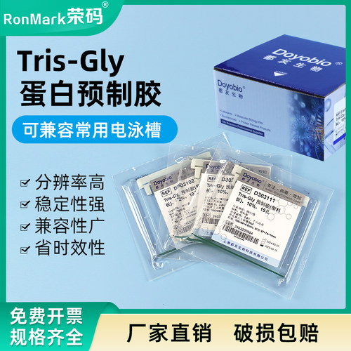 蛋白预制胶电泳蛋白胶