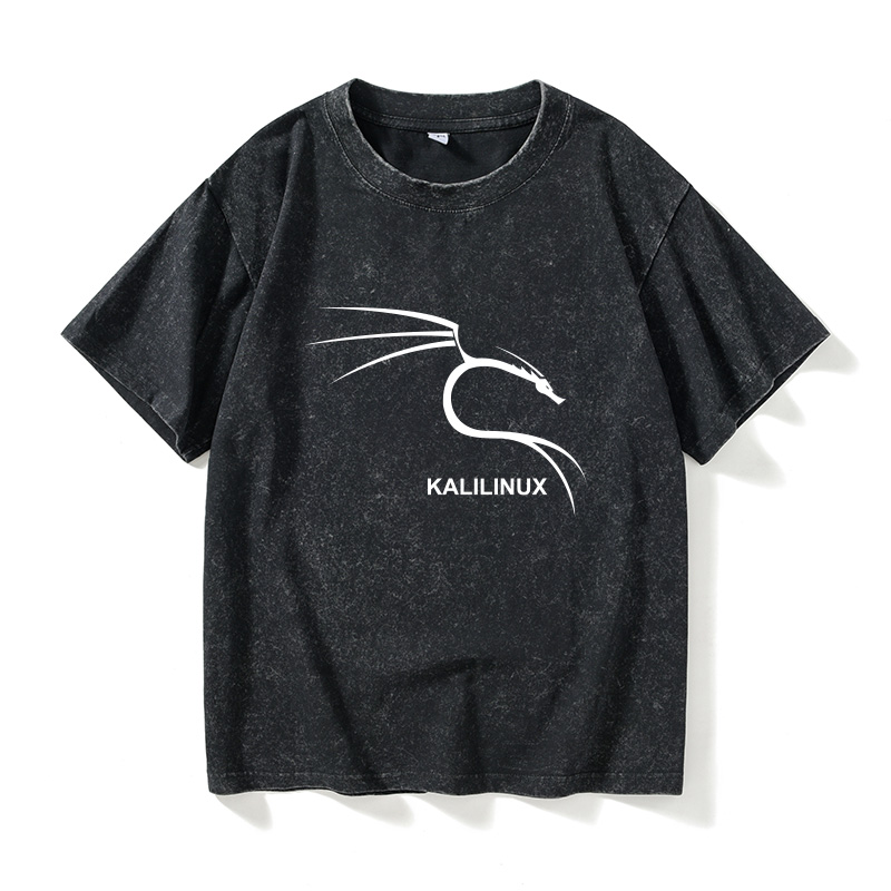 kali操作系统LINUX编程码农程序