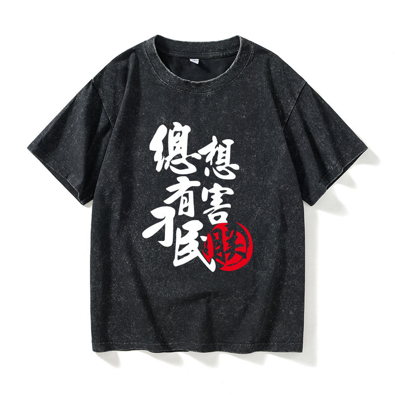 总有刁民想害朕搞笑中国风 创意文字T恤短袖新品衣服女男圆领大码