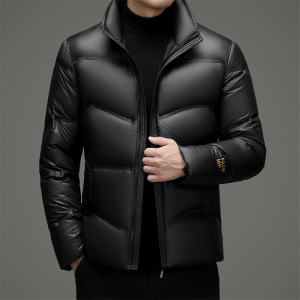冬季男士黑金羽绒外套加厚保暖白鸭绒外套XZ804/M6706P240图片