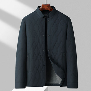 中老年棉服秋冬季立领棉衣男轻薄款棉袄XZ804/J237P150图片