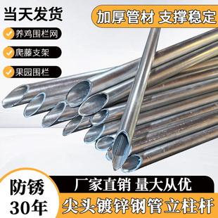 镀锌钢管立柱围栏立柱杆养殖菜园圆管方管葡萄架地桩承重铁管插杆