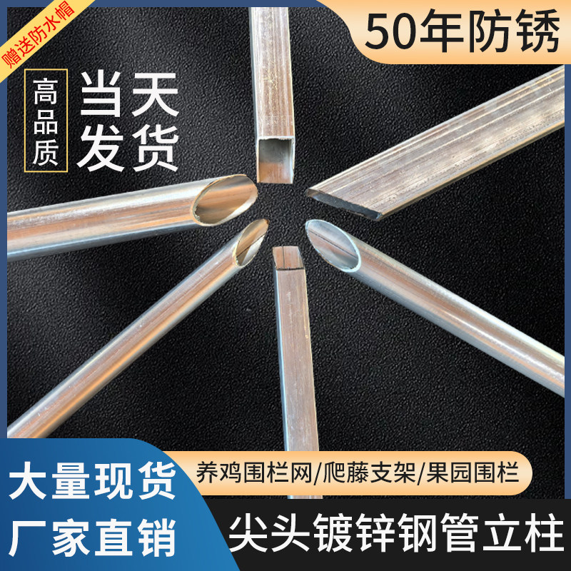 镀锌钢管立柱圆管方管围栏立柱杆拦鸡网菜园葡萄架固定地桩铁管插图片