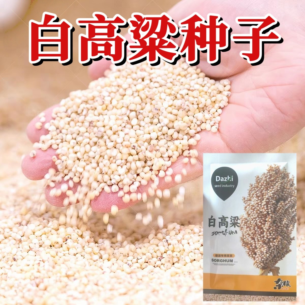粘糯白高粱种子抗病耐旱耐涝白高粱种籽酿酒做饭做汤圆大田专用种