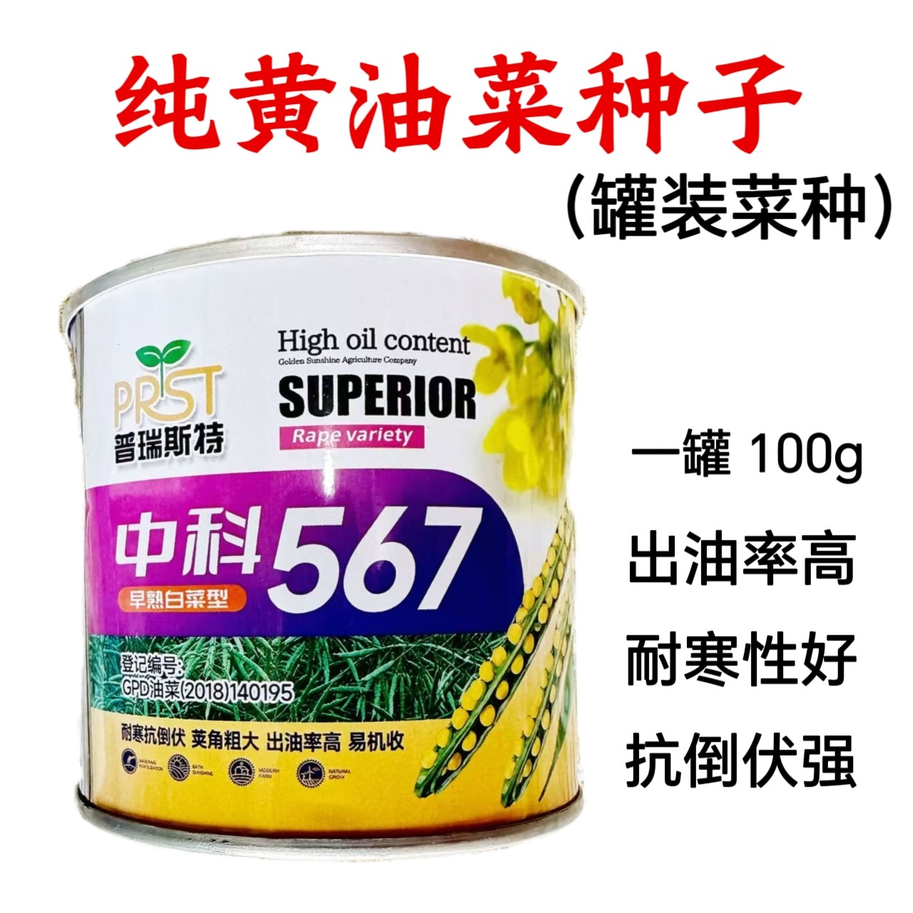 基地专用罐装油菜种子 中科567 纯黄油菜早熟高产耐寒性强抗倒伏