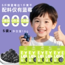 儿童零食蓝莓果干 随享装 怡颗果纯蓝莓干16g 5袋无添加便携包装
