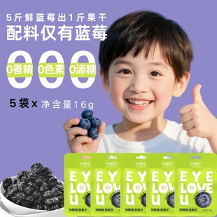 儿童零食蓝莓果干 随享装 怡颗果纯蓝莓干16g 5袋无添加便携包装