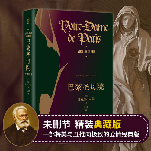创美工厂巴黎圣母院法文直译精装