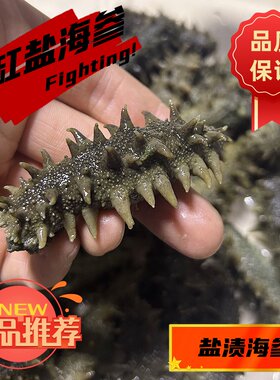 大连盐渍底播半干海参500g鲜活非干货特价拉缸盐底播辽刺参泡发
