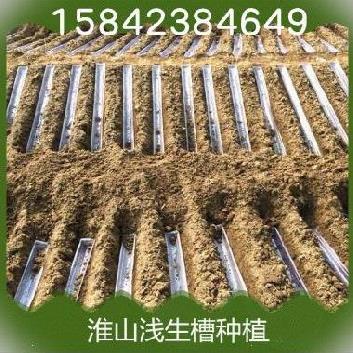 淮山槽托槽农具埋地户外1.2米直筒模型苗种定向生长种植U型槽栽培