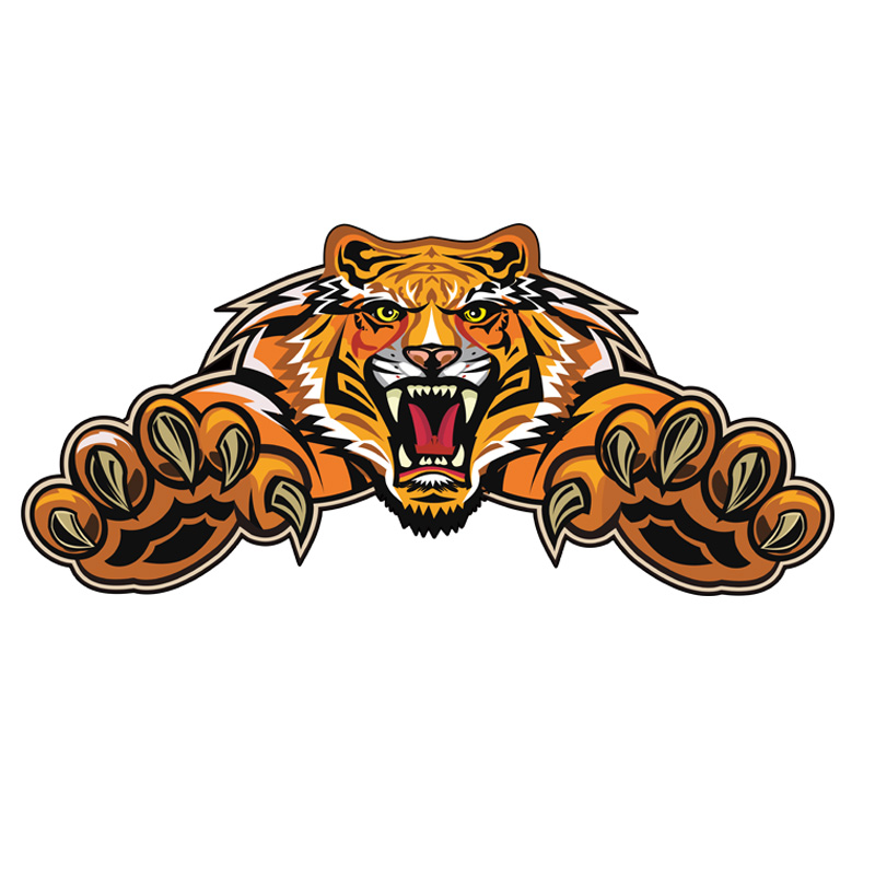 老虎车贴划痕遮挡遮盖汽车贴纸凶猛图腾电动车摩托车装饰贴大面积