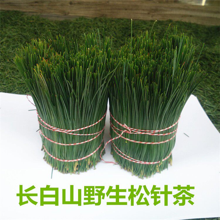 东北长白山鲜松针茶入药中药材红松马尾松针叶酵素现采摘500g包邮
