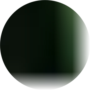 新鲜车前草车前子车轮草田冠草整株整颗带根现采现发500克包邮