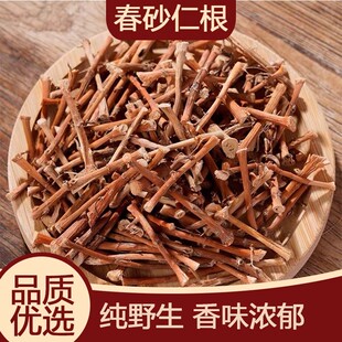 正宗春砂仁根干250g中药材广东阳春特产煲汤泡茶煮水野生砂仁干根