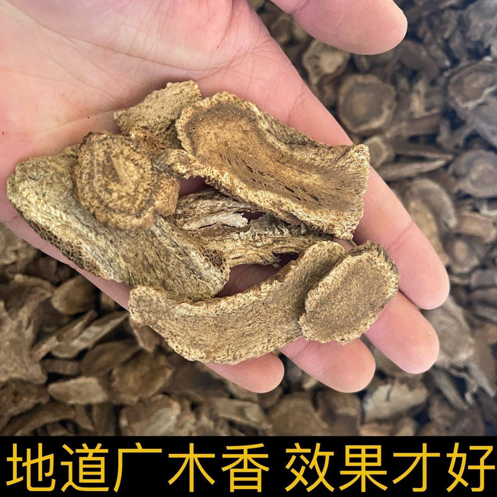 广木香新货广木香中药材无硫精选木香中草药非缅甸广木香木香片