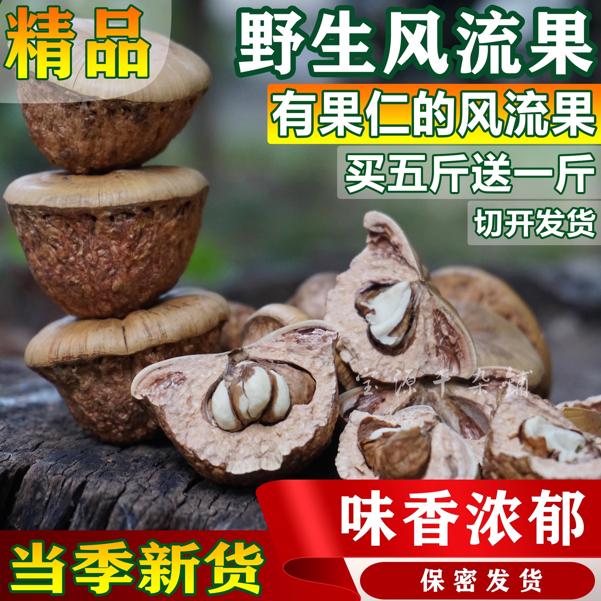 风流果野生广西正品500g特级精品龟头子厚鳞柯男性滋补泡酒料2025