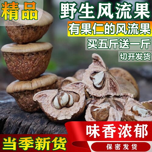 风流果野生广西正品500g龟头子