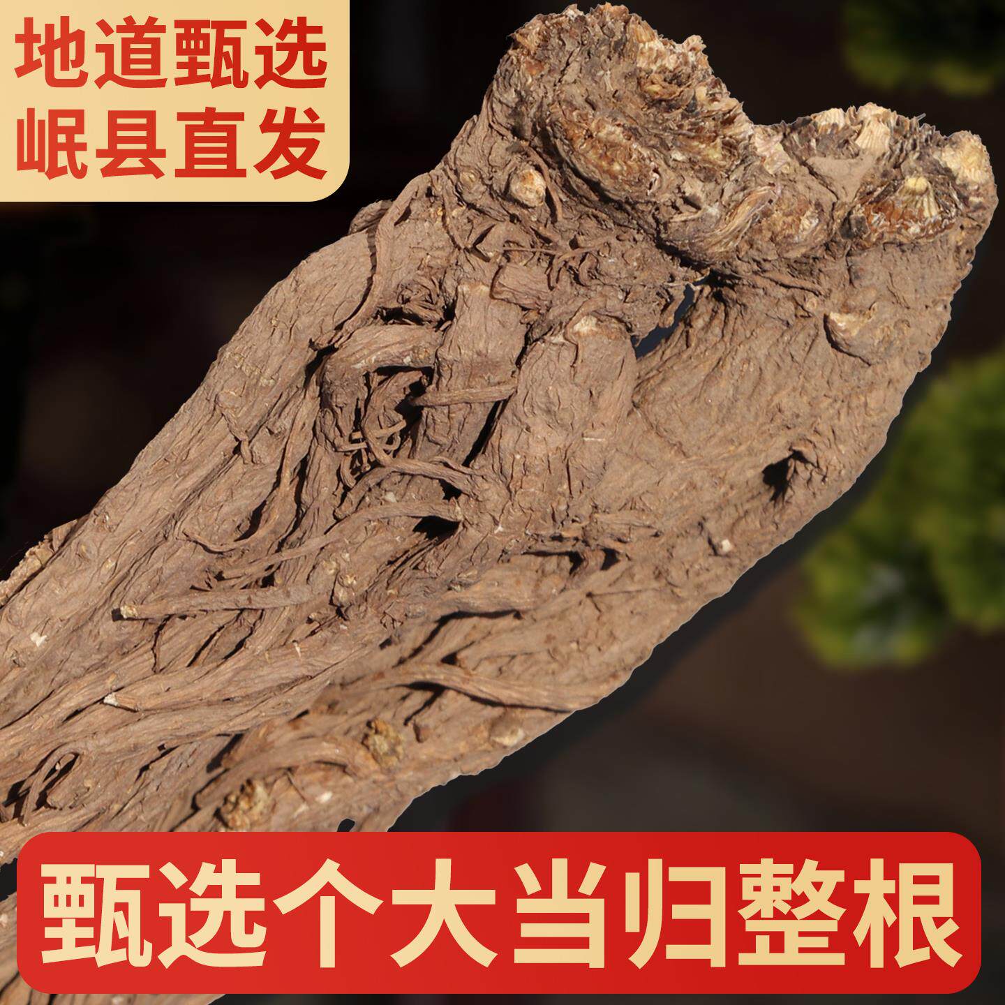 甘肃岷县当归中药材整根500g干货正宗正品无硫泡茶泡酒煮粥煲汤料