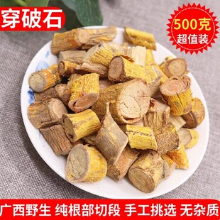 广西野生穿破石中药材500g克川破石根部地棉根九层皮石柘根黄蛇根