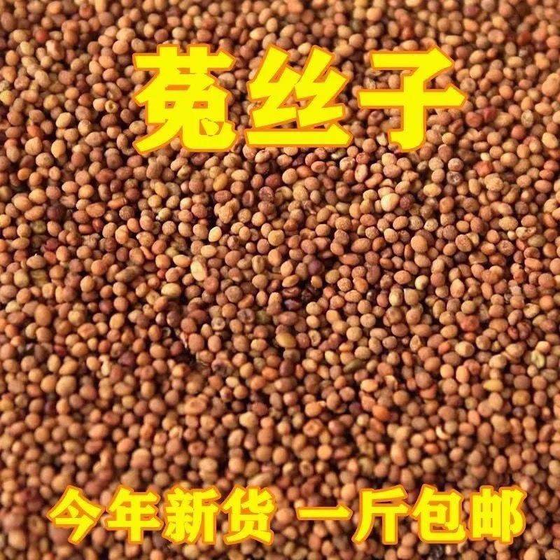 野生菟丝子500g克内蒙兔丝子泡水菟丝子泡茶中药材另售韭菜籽枸杞