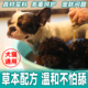 狗狗中药药浴粉香波浴液驱虱除螨杀真菌浓皮症法斗法牛皮肤病专用