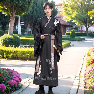 南北朝战国直裾清冷风魏晋制汉服男侠客风青少年大袖襦交领中国风