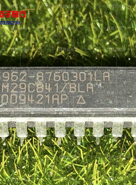 AM29C841/BLA进口现货5962-8760301LA集成电路IC 批量供应