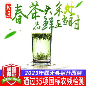 头采开园茶北匠日照绿茶头茬嫩芽