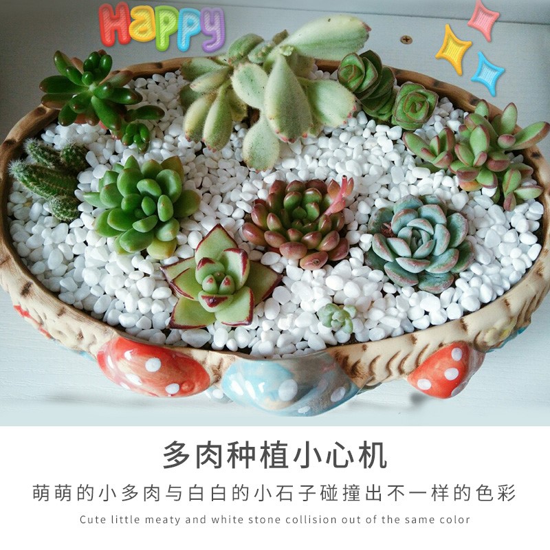 多肉花盆0砂-石造景小白石沙子七彩色287cff87彩石.306装饰铺面小