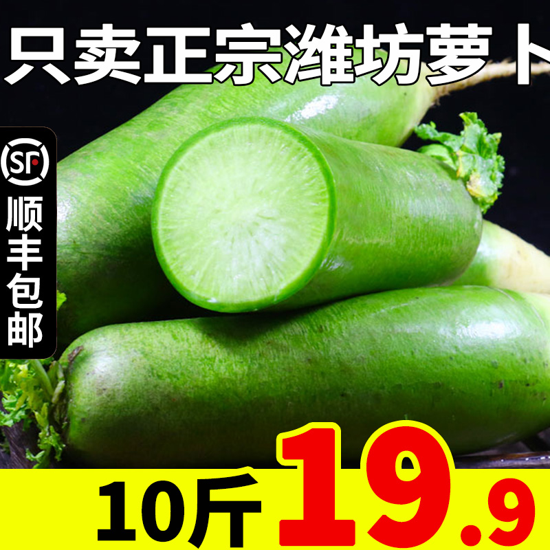 山东青萝卜水果新鲜潍坊甜脆10斤罗卜萝卜农家绿非白天津沙窝萝卜