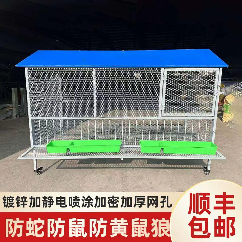 鸡笼室外用防蛇鼠黄鼠狼防雨自动收蛋加厚不锈鸽笼兔笼养殖铁丝网