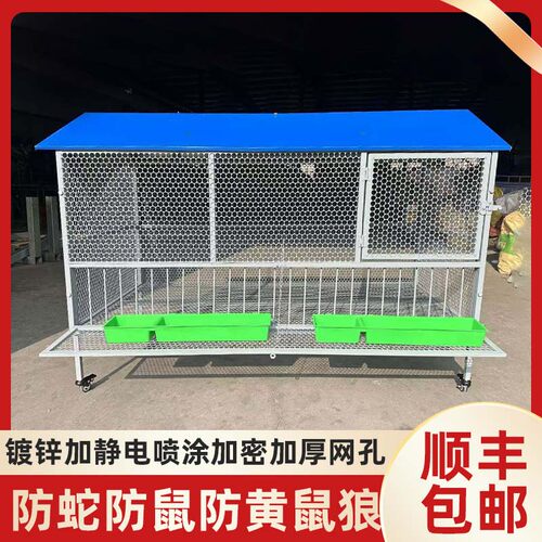 鸡笼室外用防蛇鼠黄鼠狼防雨自动收蛋加厚不锈鸽笼兔笼养殖铁丝网