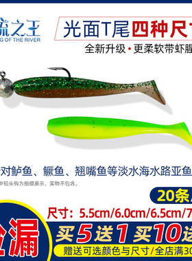 河流之王路亚软饵T尾鱼20条装加腥鳜鱼鲈鱼曲柄钩卡罗铅头钩10送3