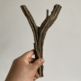 弹弓原料【倒刺藤树杈】原木Y形树枝 DIY树丫 手工玩木畸形木料