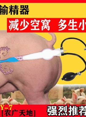 猪输精器管授猪输精器管授