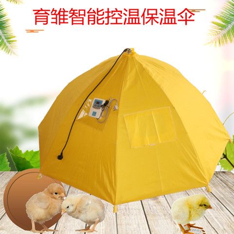 鸡用育雏器小鸡用育雏器小