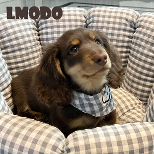 LMODO宠物三角巾韩系狗狗三角巾围兜猫咪灰色格子可爱比熊围脖