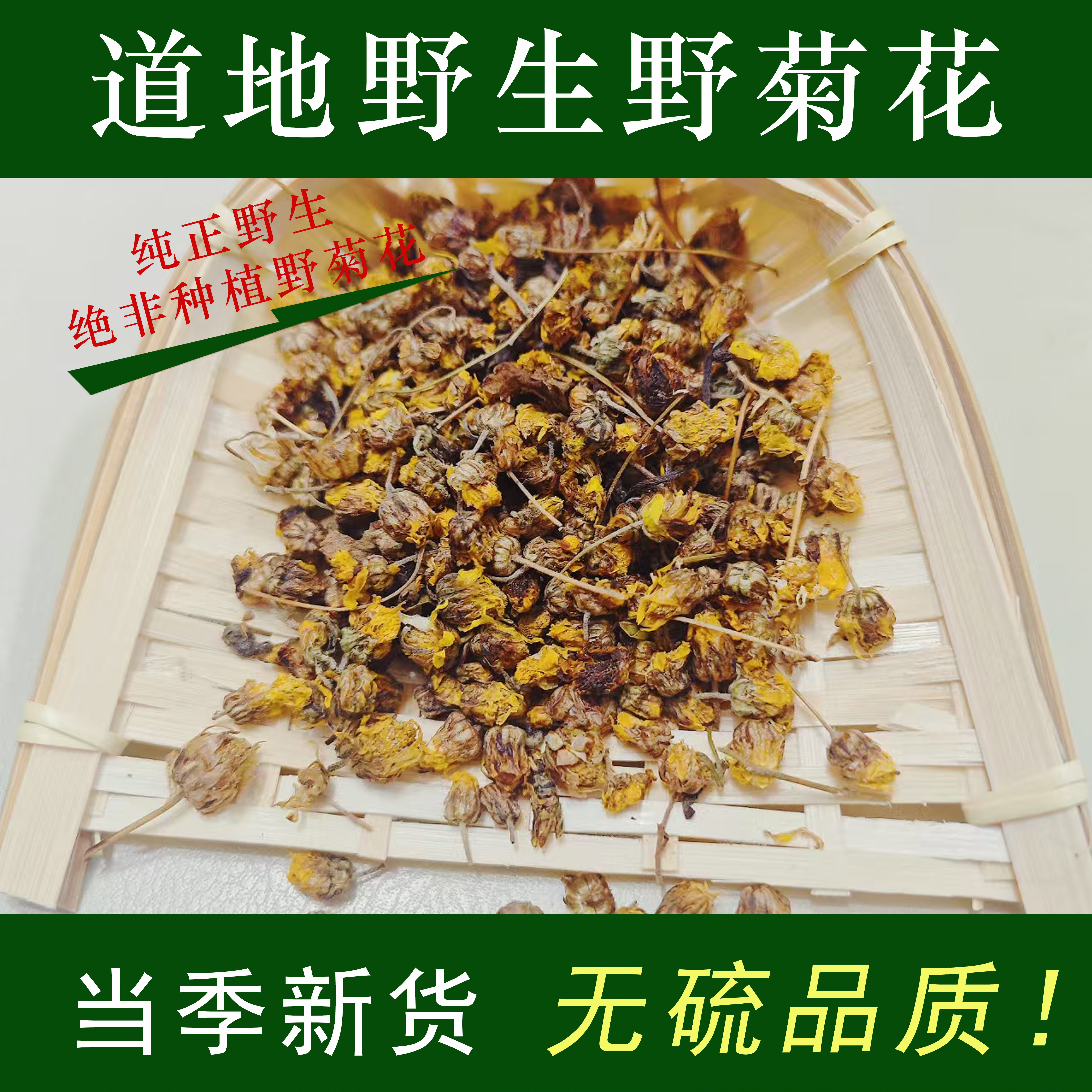 正宗天然野菊花中药材正品散装苦小米菊干花非特级野生泡水胎菊茶