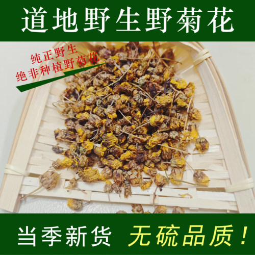 正宗天然野菊花中药材正品散装苦小米菊干花非特级野生泡水胎菊茶
