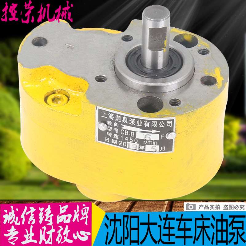 机床配件沈阳 大连CW6163 CW6180车床配件CB-B6F CB-B10F专用油泵