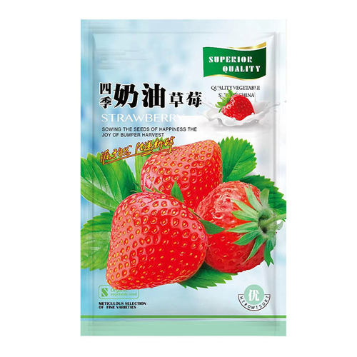 【下单立减50】四季奶油草莓食用新手易种盆栽水果Y03
