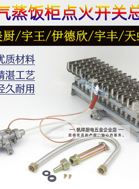 液化气蒸箱蒸气机蒸车蒸饭柜点火器总承燃气阀自熄火保护装置配件