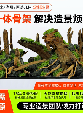 小米当贝森森LEB尼特利X45画法几何鱼缸一体造景成品骨架水草溪流